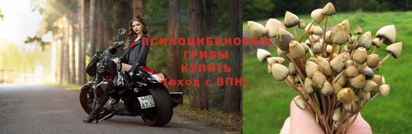 герыч Медногорск