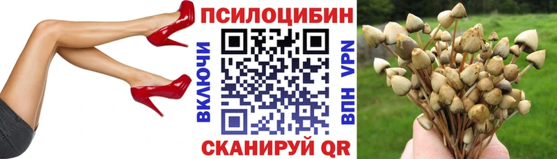 Галлюциногенные грибы прущие грибы  Туран 